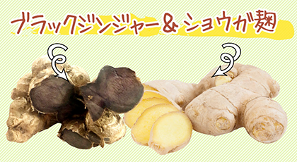 Wのジンジャーで燃焼U