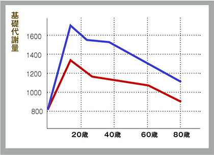 年齢とともに落ちてしまう代謝