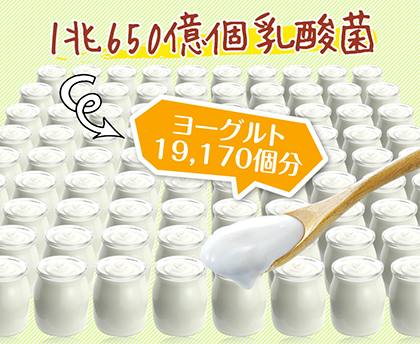ヨーグルト19170個分の乳酸菌