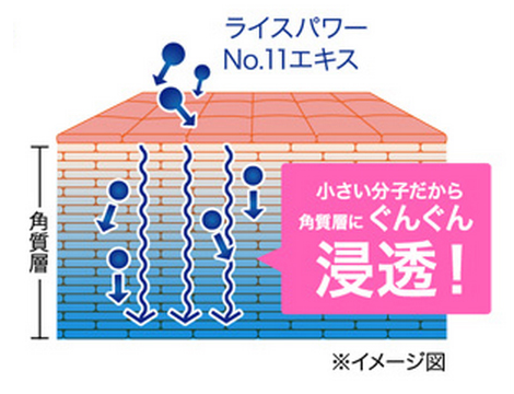 ライスフォース