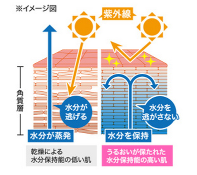 ライスフォース