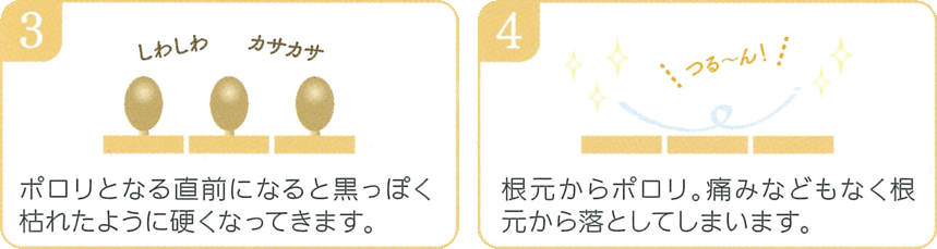 艶つや習慣