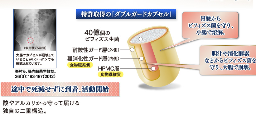 特許取得のビフィズス菌「ビフィコロン」