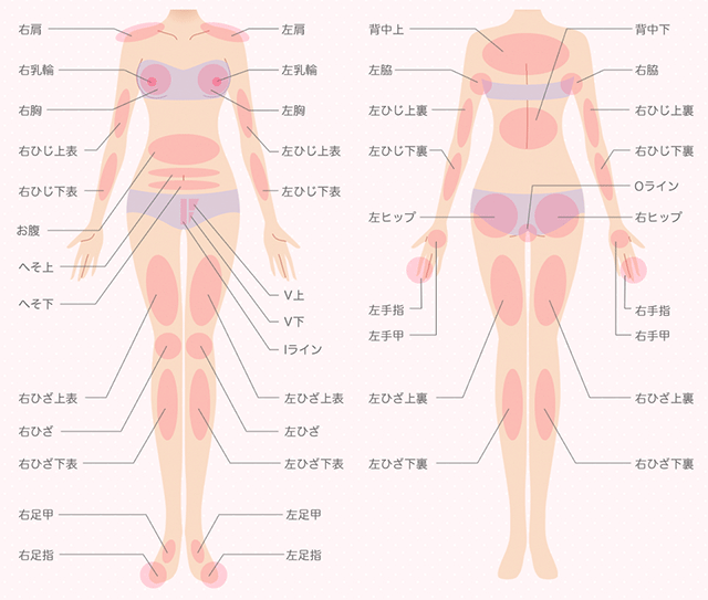 全身脱毛専門店「STLASSH(ストラッシュ)」