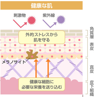 セカンドシーズン アンチエイジング化粧水