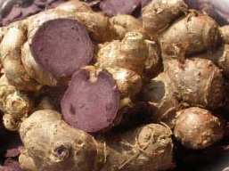 スマート黒しょうが+生酵素