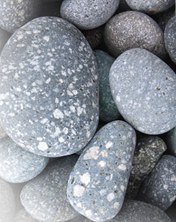 洗顔 くりーむくりーむ