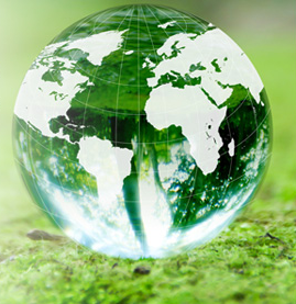 洗顔 くりーむくりーむ