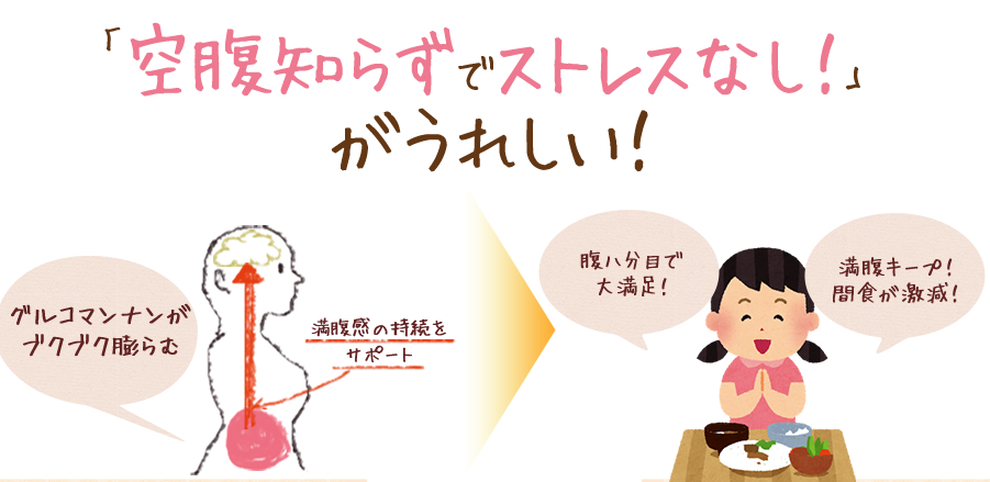 新・ダイエットサポート酵母サプリ