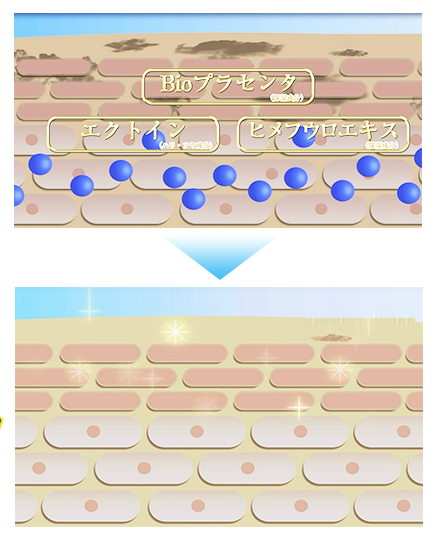 プロフェッサーホワイトエッセンス