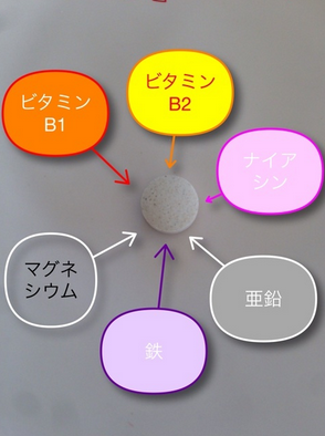 酵素ダイエット サプリ「こうじ酵素」