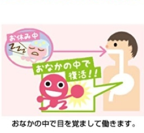 酵素ダイエット サプリ「こうじ酵素」