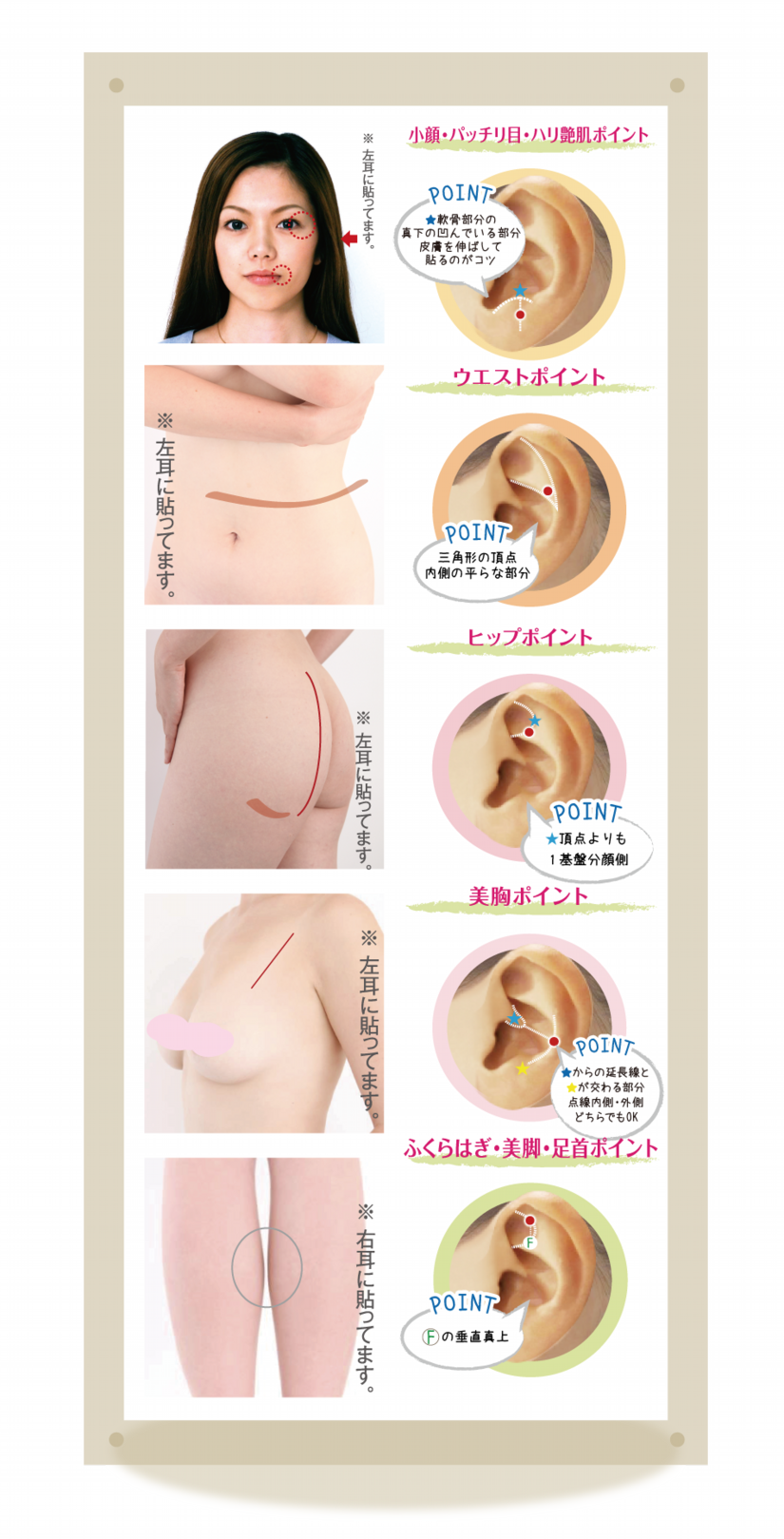 エイジングケアシール