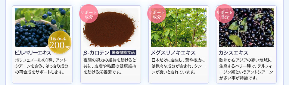 北の国から届いたブルーベリー