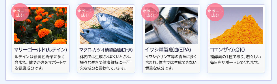 北の国から届いたブルーベリー