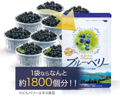 北の国から届いたブルーベリー