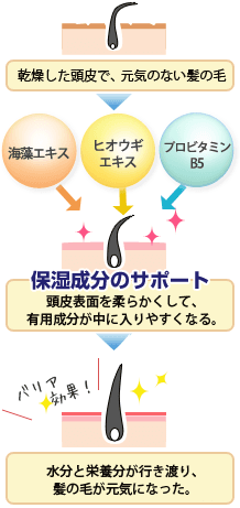 Angel ReLien Plusエンジェルリリアンプラス