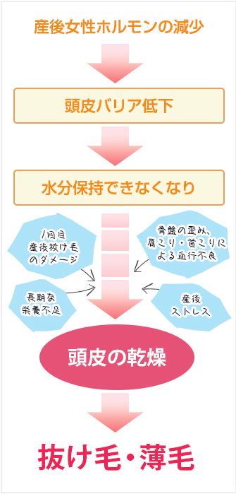 Angel ReLien Plusエンジェルリリアンプラス