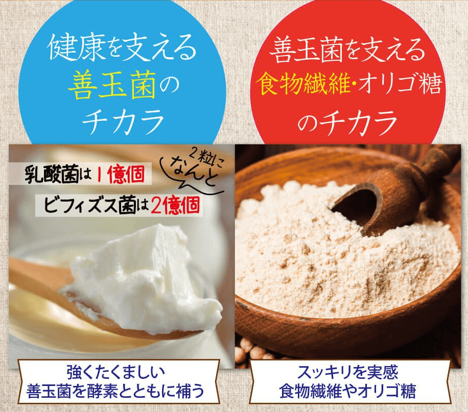 酵素サプリメント「みやびの植物酵素100」