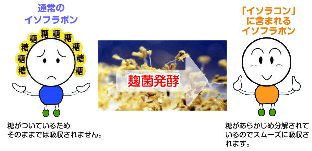 イソラコン葉酸400μgプラス