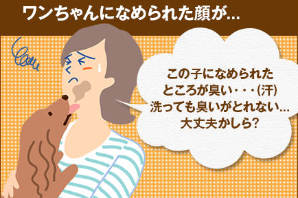 愛犬のお口サポート ペットシア