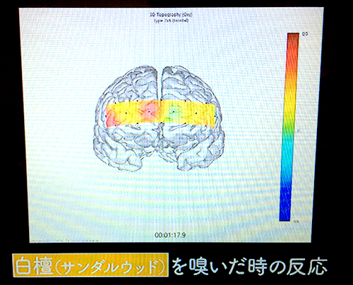 白檀(サンダルウッド)を嗅いだときの脳の反応