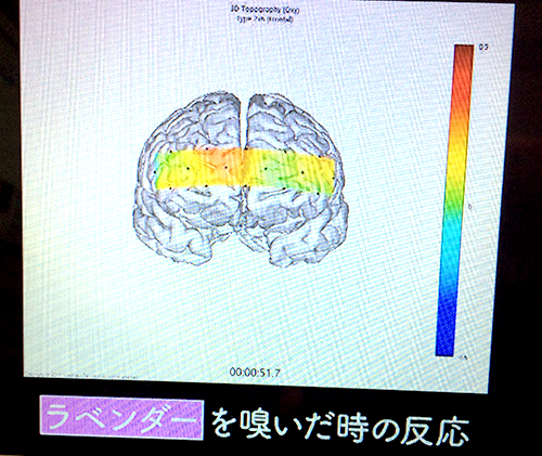 ラベンダーを嗅いだときの反応