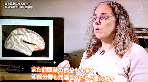 ハーバード大学のサラ・レイザー博士