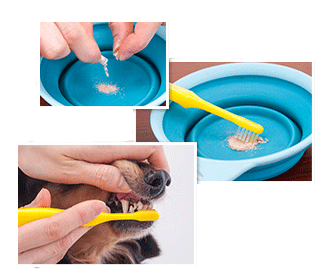 愛犬のお口サポート ペットシア