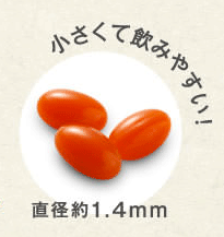 クリルオイルは高品質なDHAを含む南極の濃密オイル。