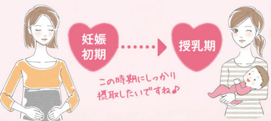 クリルオイルは高品質なDHAを含む南極の濃密オイル。