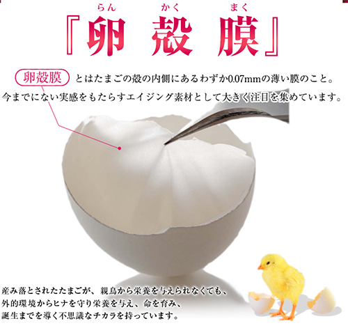 有胞子乳酸菌 卵殻膜