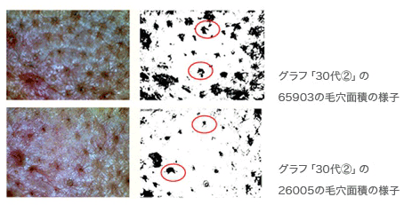 出典:item.rakuten.co.jp