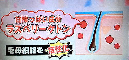 ラズベリーで薄毛改善