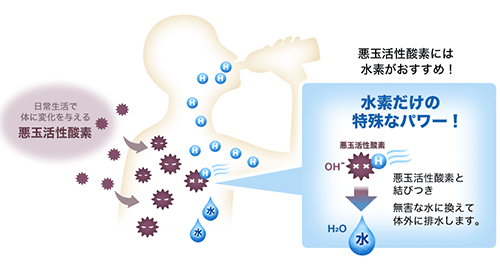 セブンウォーター