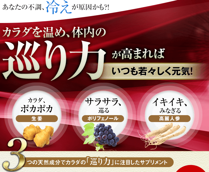 美健知箋ポリフェノール