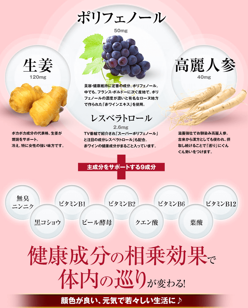 美健知箋ポリフェノール