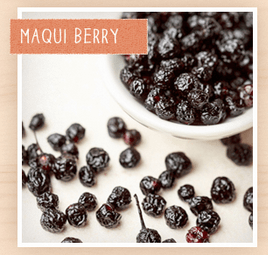 スーパーフードプロテインパウダー