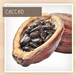 スーパーフードプロテインパウダー