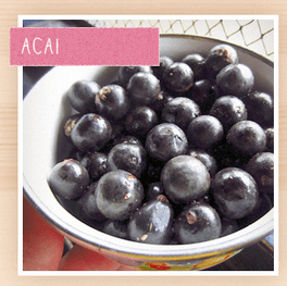 スーパーフードプロテインパウダー