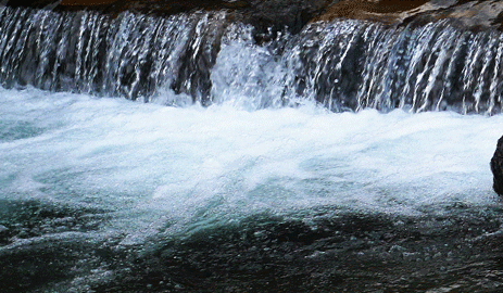 ベビーソーブドルチボー