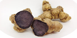 ブラックジンジャー