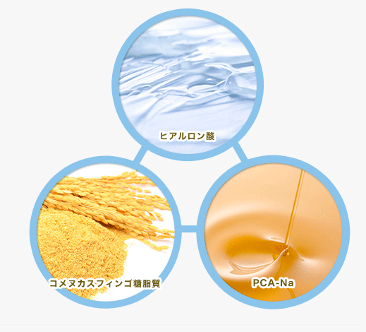 ベビーソーブドルチボー