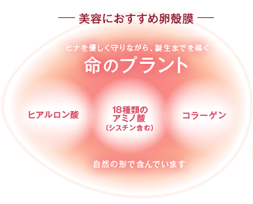 卵殻膜 化粧品