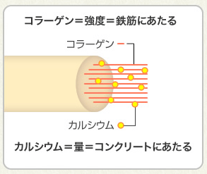 身長を伸ばす方法