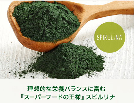 置き換えダイエット!野菜たっぷりの栄養補給!【クレンズスープ<グリーン&オニオン・ミネストローネ>】