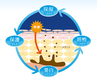ヤクルト化粧品 激安