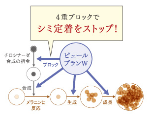 デルメッド 口コミ