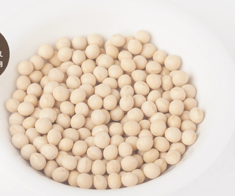 スーパーフードプロテインパウダー