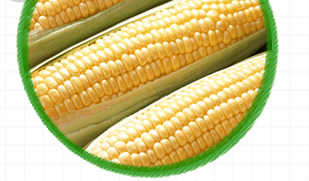 身長を伸ばす方法